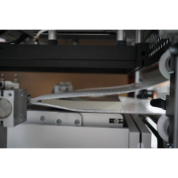 Protective Automatic Mailer System